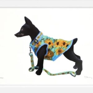Vincents Dog II