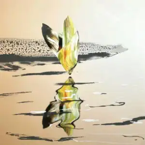 Reflection I