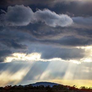 Sky1 2025